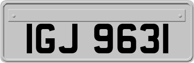 IGJ9631