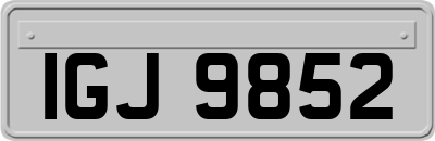 IGJ9852