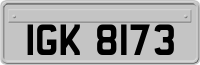 IGK8173