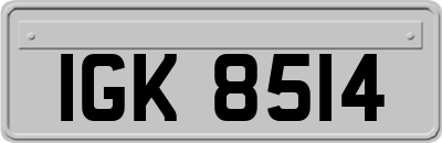 IGK8514