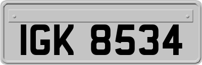 IGK8534