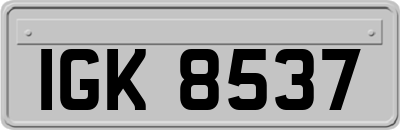 IGK8537