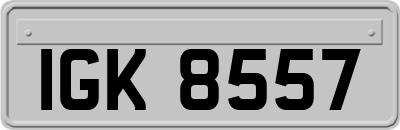 IGK8557
