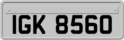 IGK8560