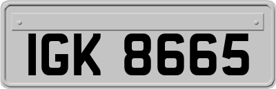 IGK8665