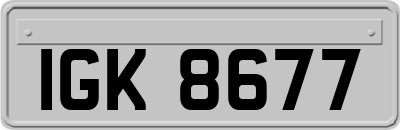 IGK8677