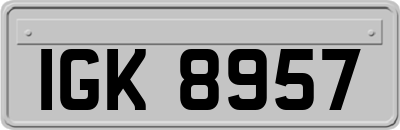 IGK8957