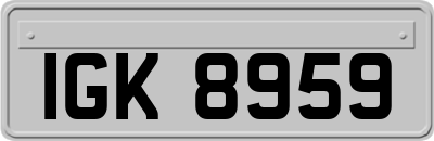 IGK8959