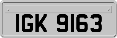 IGK9163