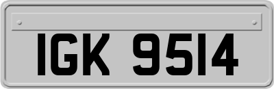 IGK9514