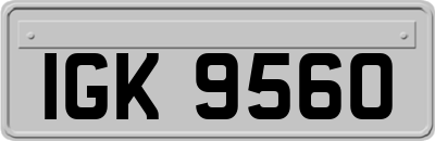 IGK9560