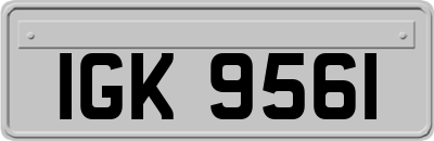IGK9561
