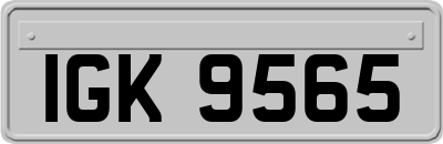 IGK9565