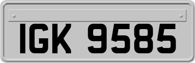 IGK9585