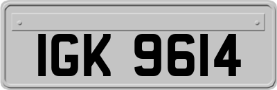 IGK9614