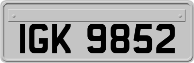 IGK9852