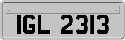 IGL2313