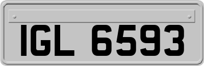 IGL6593