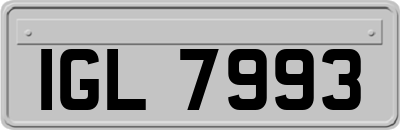 IGL7993