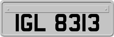 IGL8313