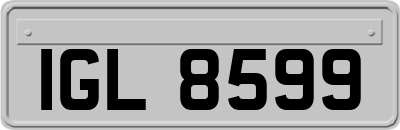 IGL8599