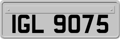 IGL9075