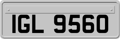 IGL9560