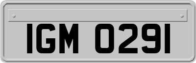 IGM0291