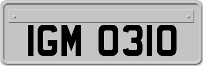 IGM0310