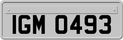 IGM0493