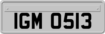 IGM0513