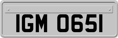 IGM0651