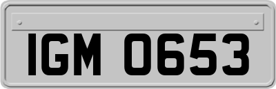 IGM0653