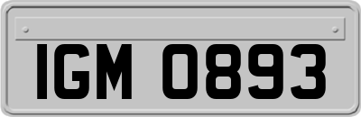 IGM0893