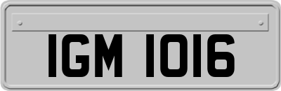 IGM1016