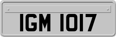 IGM1017