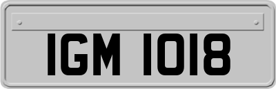 IGM1018