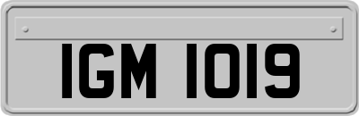 IGM1019