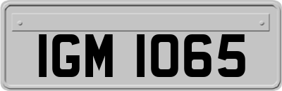 IGM1065