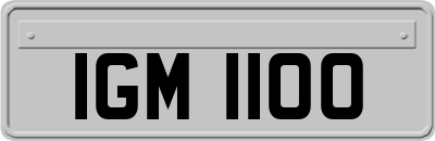 IGM1100