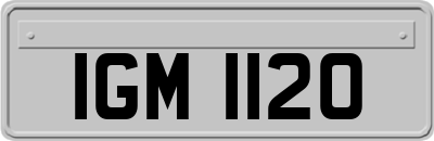 IGM1120