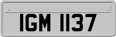 IGM1137