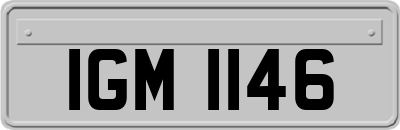 IGM1146