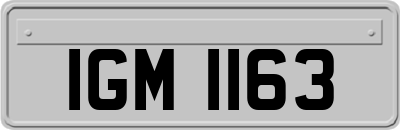 IGM1163