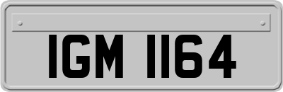 IGM1164