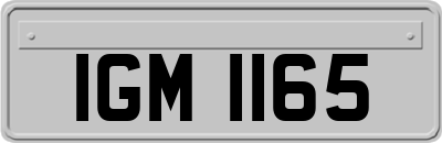 IGM1165