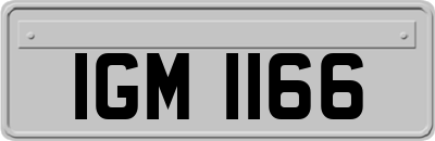 IGM1166
