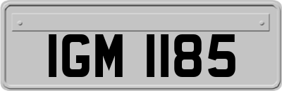 IGM1185