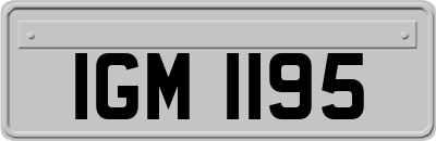 IGM1195