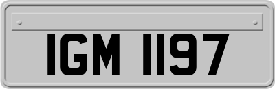 IGM1197